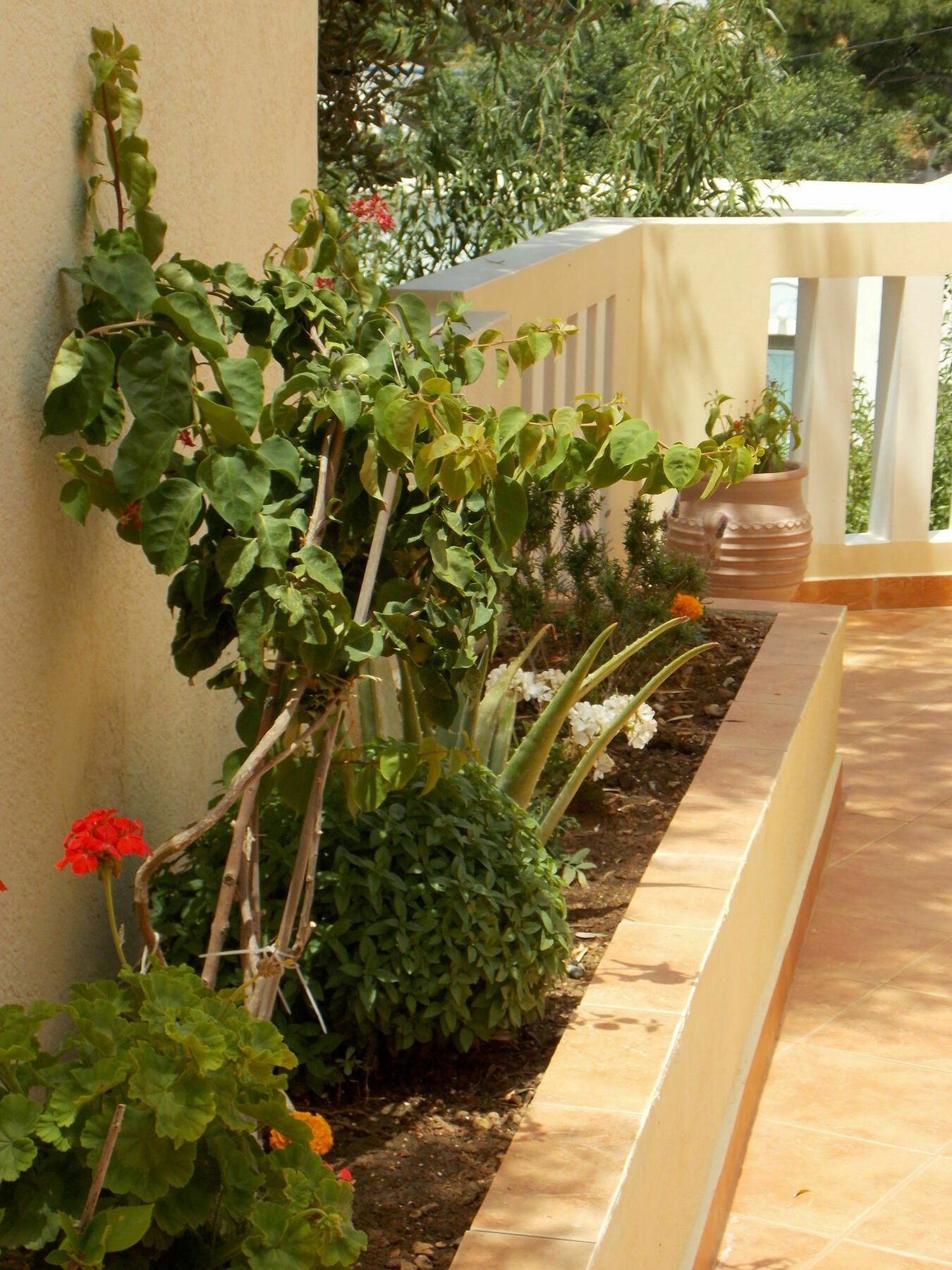 Myrties Boutique Apartments Masouri Buitenkant foto